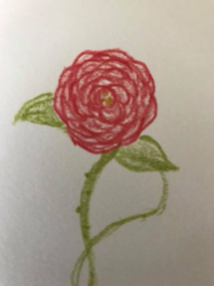 I Am Collecting a Flower Drawing for all 711 Children Still Separated from their Families 